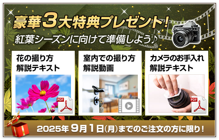 豪華3大特典